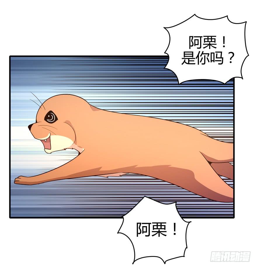 大名猩(1/2)-第82话