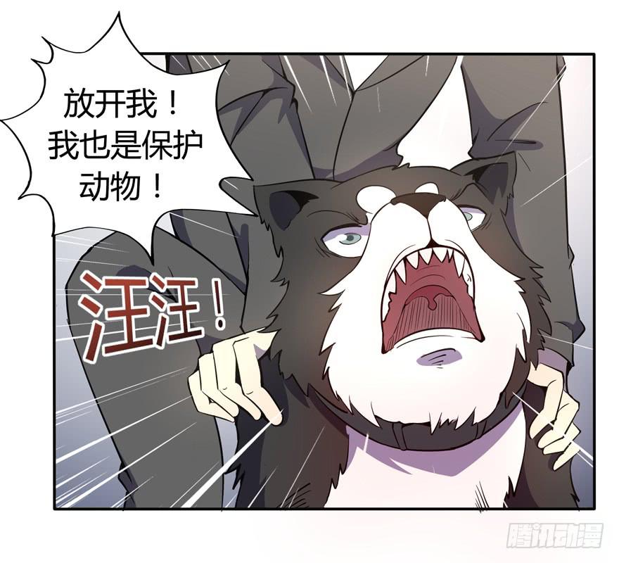 回家(1/2)-第100话