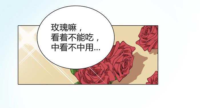 谁送的玫瑰-第18话