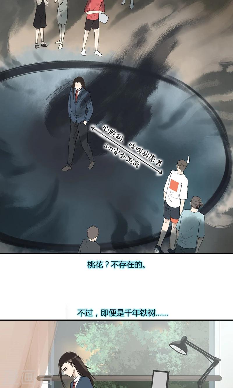 第12话 铁树开花-第12话