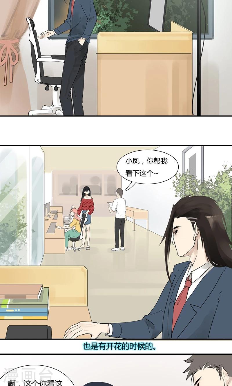 第12话 铁树开花-第12话