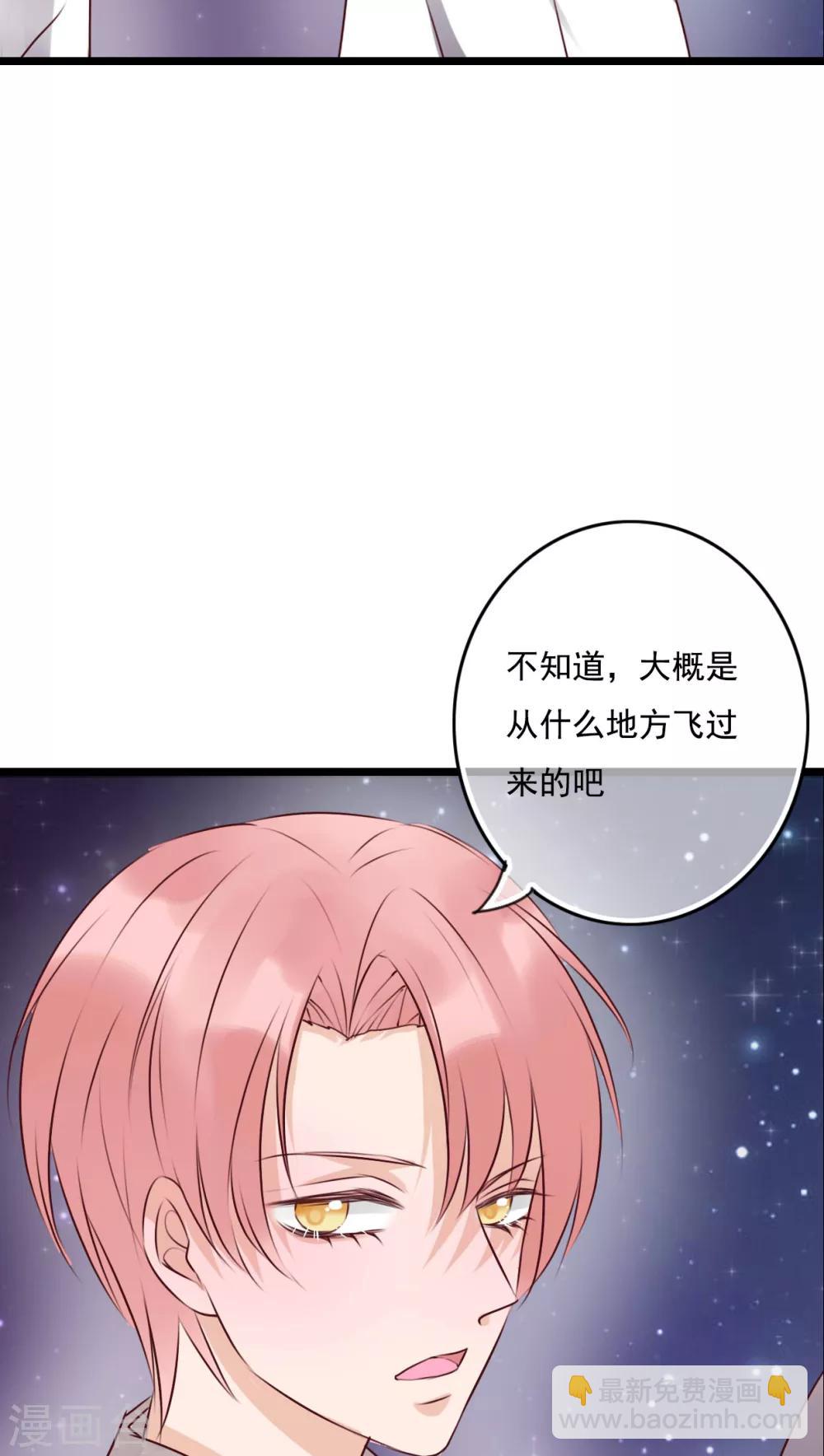 第74话 误会-第76话