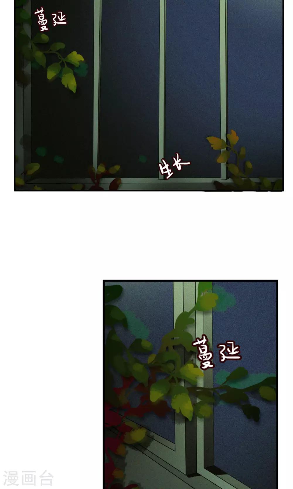 第38话 爬山虎-第40话