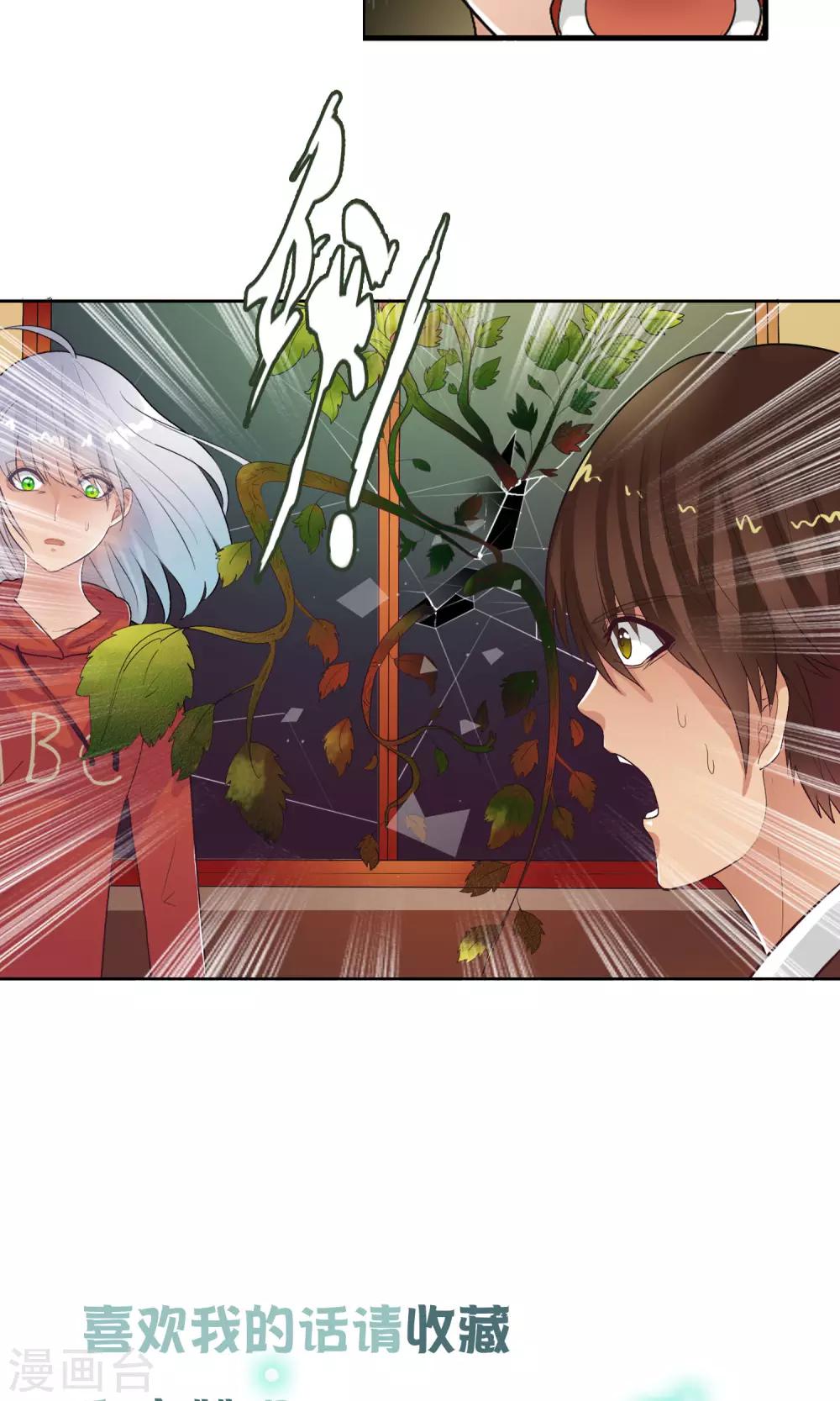 第38话 爬山虎-第40话