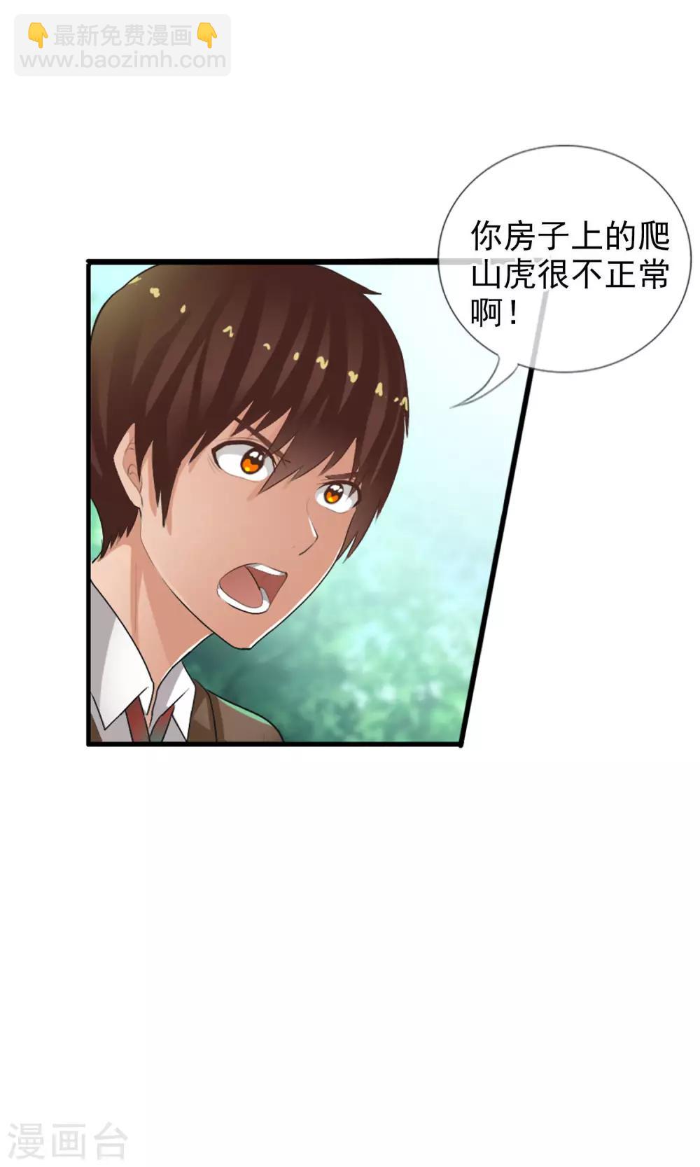 第41话 天陨石的来历-第44话