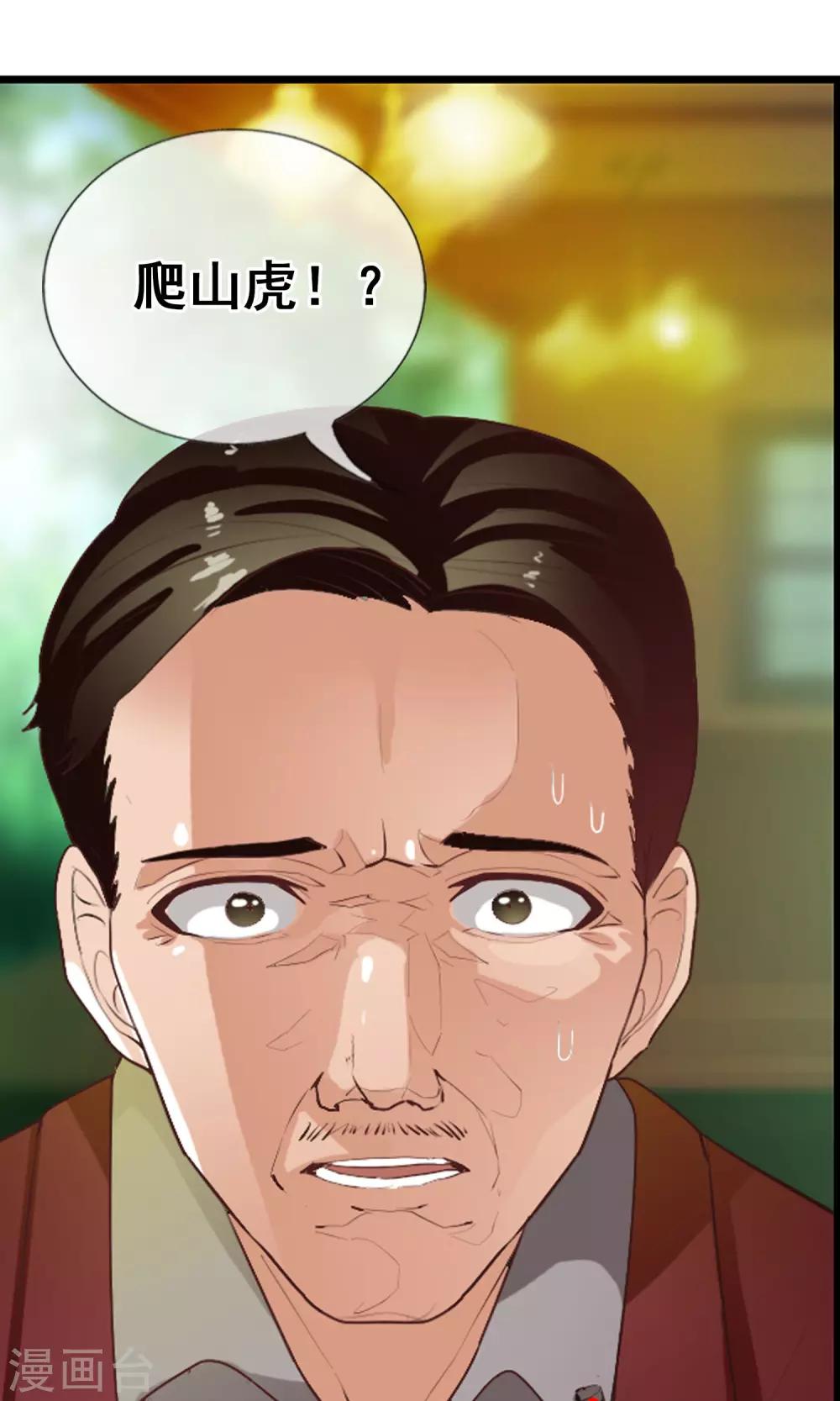 第41话 天陨石的来历-第44话