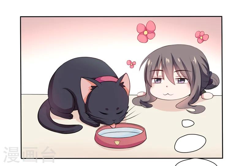 第2话 猫大爷太磨人了-第2话