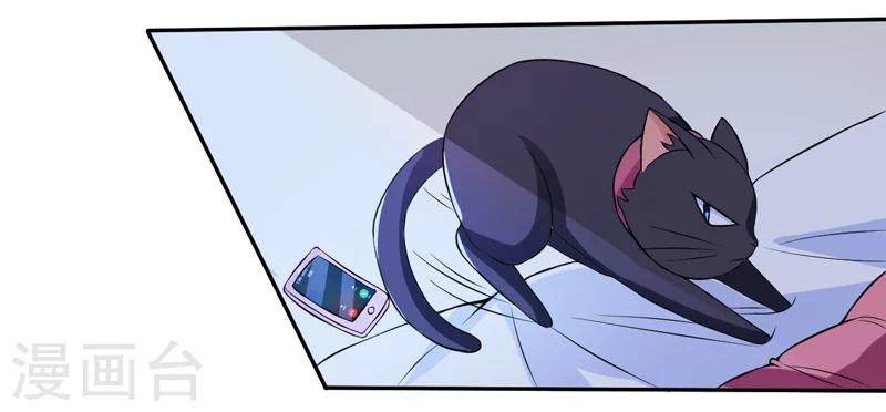 第2话 猫大爷太磨人了-第2话