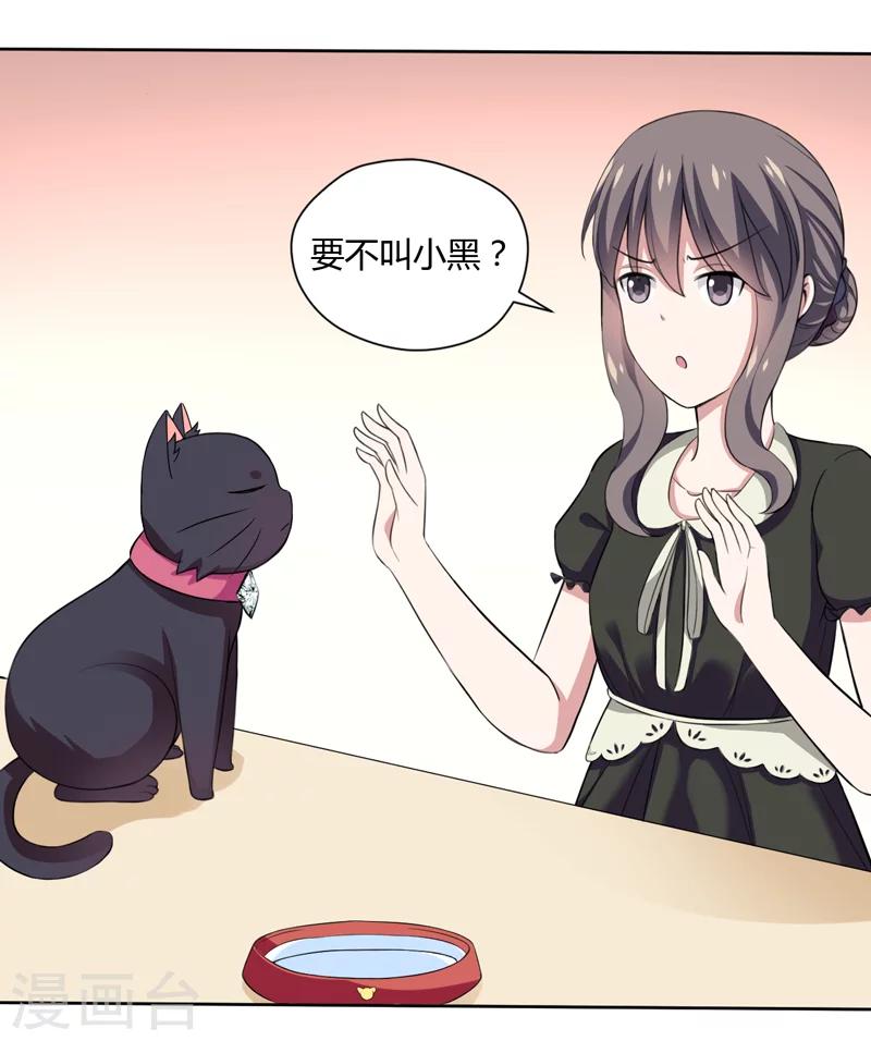 第2话 猫大爷太磨人了-第2话