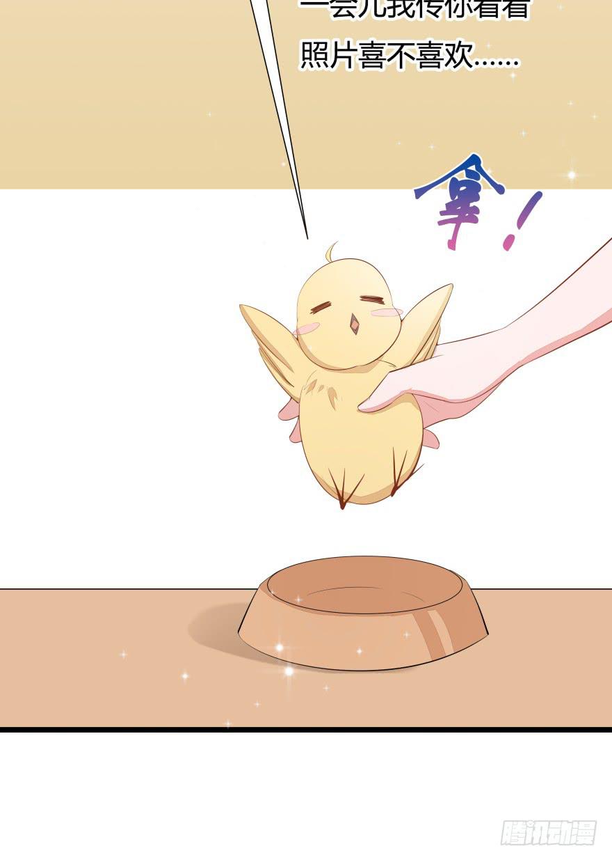 🍲在下仙女本仙 1.真·仙女下凡 第21页