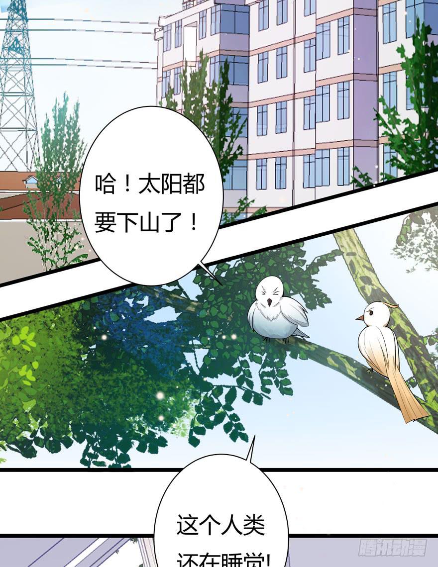 🍲在下仙女本仙 3.凡间“真爱” 第23页