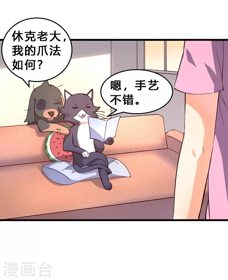 第27话 猫狗大战2-第28话