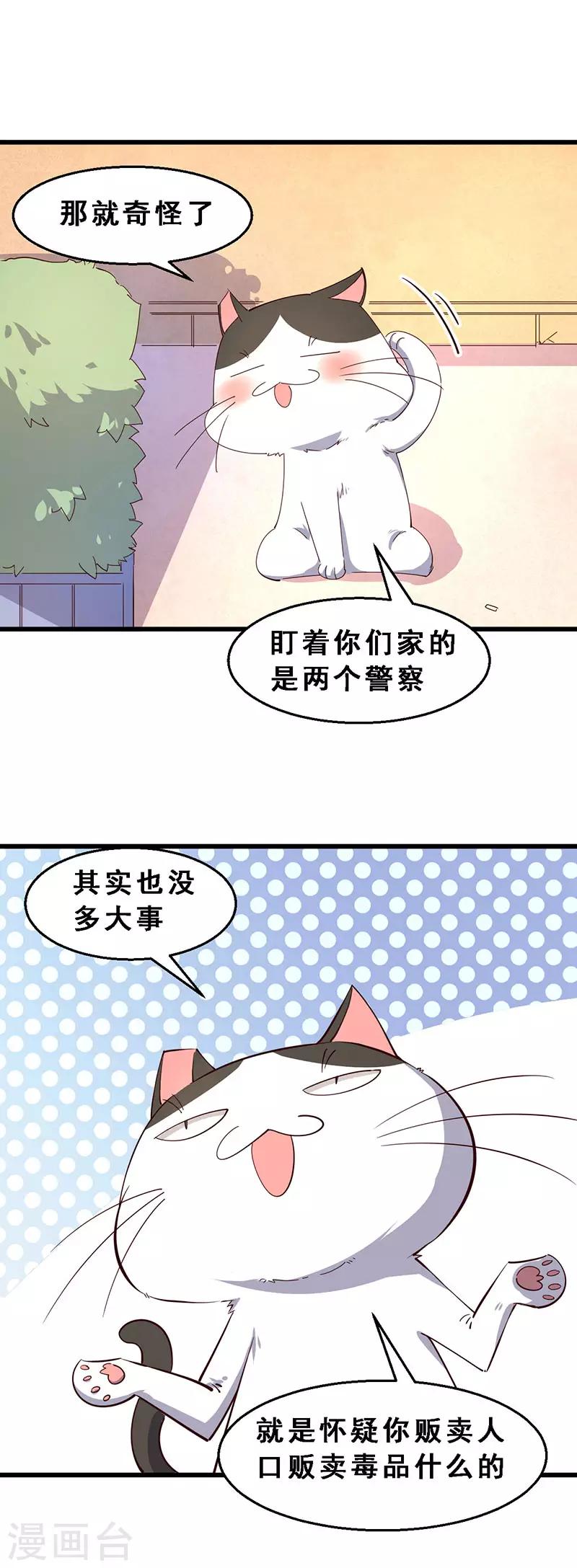 第41话 &lsquo;南瓜汤&rsquo;行动-第42话