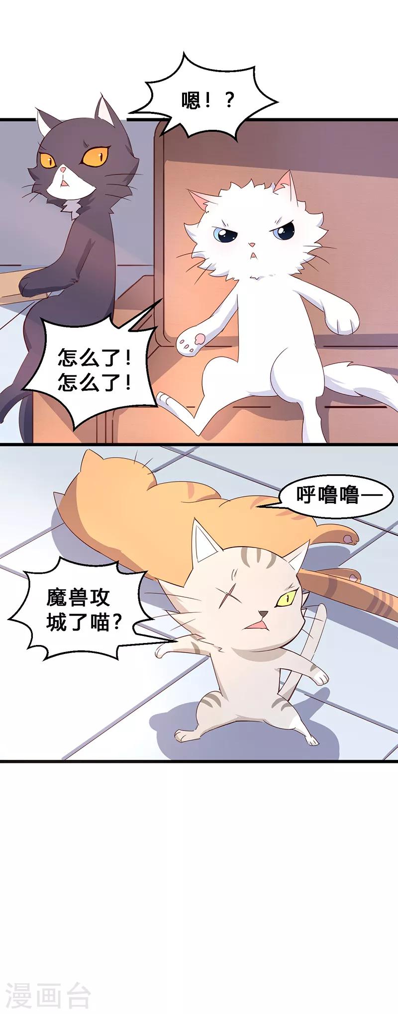第5话 全物种都说普通话？-第6话