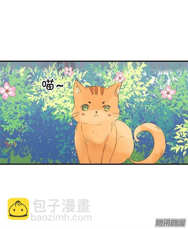 不速之客(1/2)-第16话