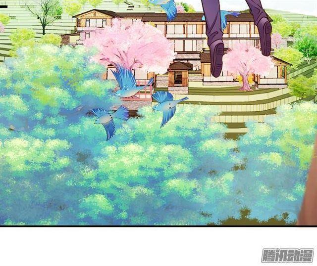 我愿用我的生命守护你！(1/2)-第30话