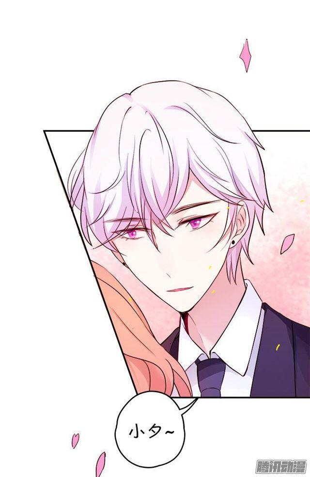 我愿用我的生命守护你！(1/2)-第30话