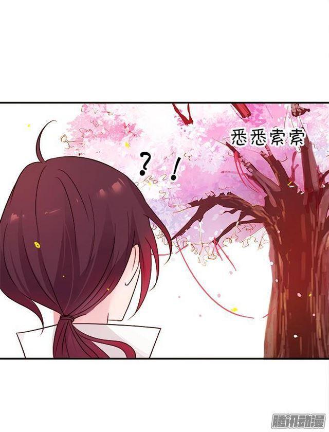 我愿用我的生命守护你！(1/2)-第30话