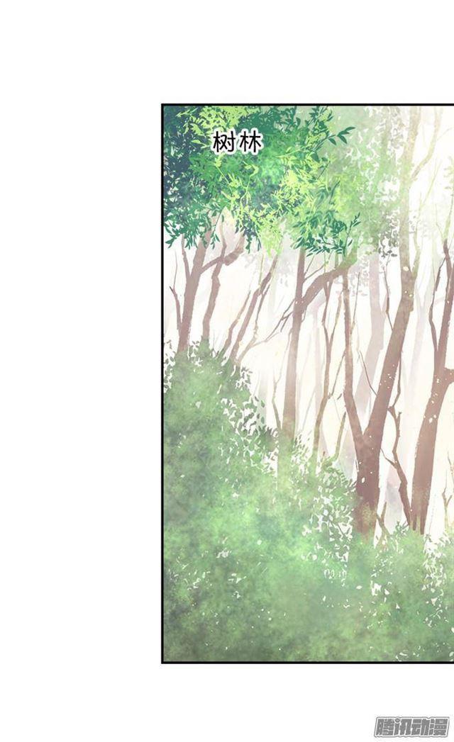 我愿用我的生命守护你！(1/2)-第30话