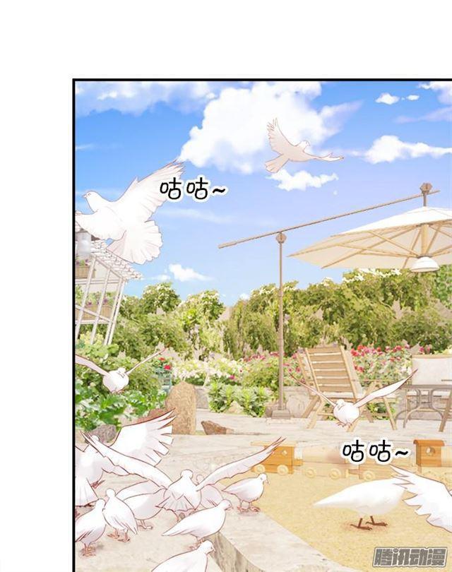 大白的过去(1/2)-第38话