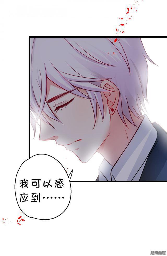 小夕倒在血泊，大白暴走！(1/2)-第74话