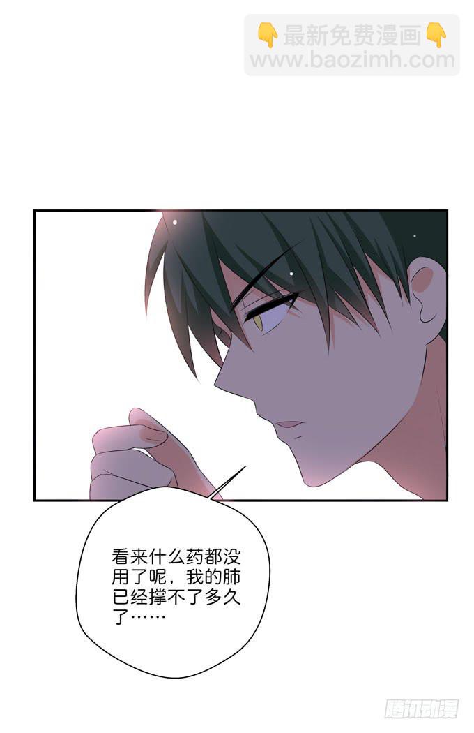 你是我唯一的梦想-第206话