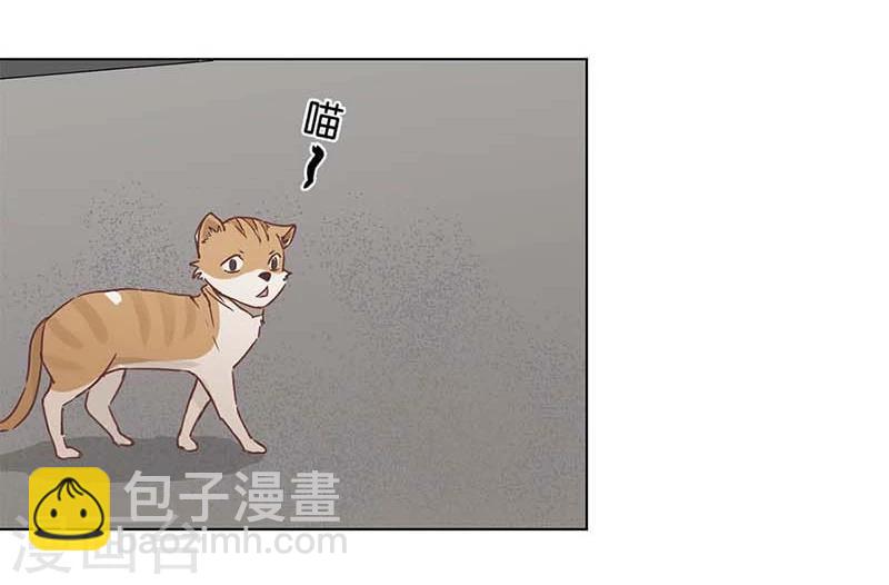 第3话-第4话