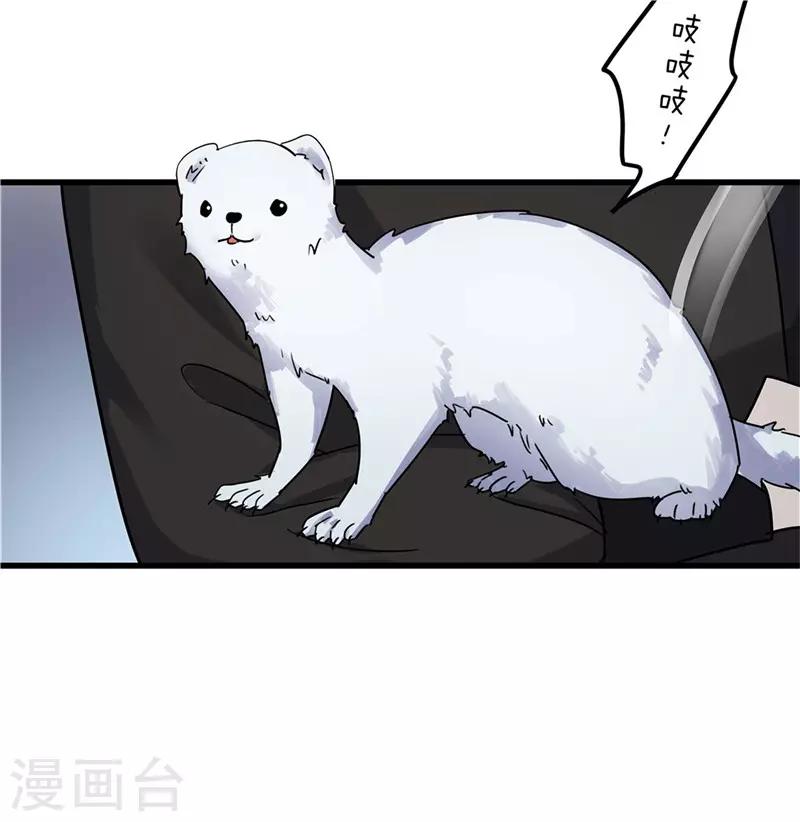 第70话 礼物-第70话