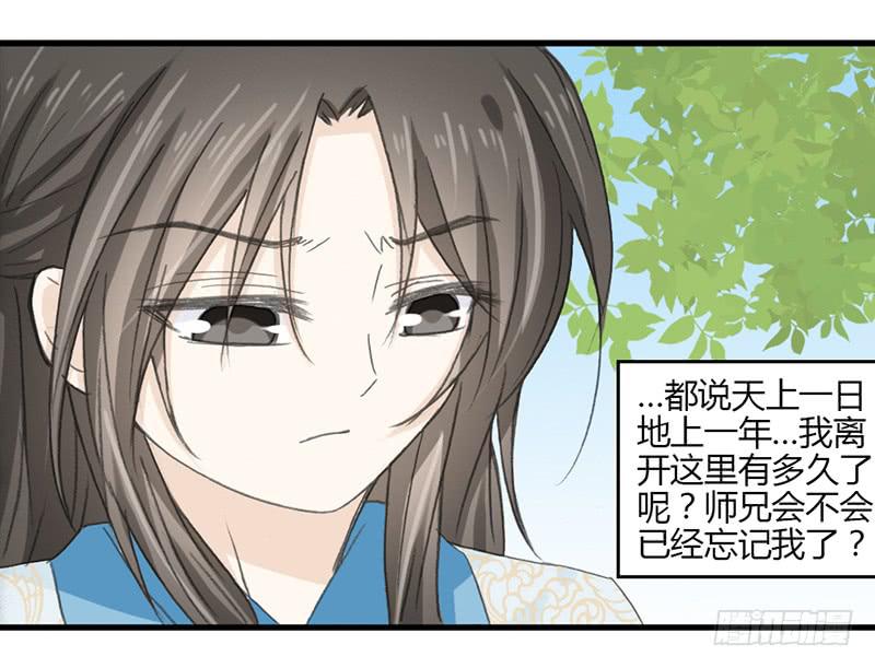 🍲重生只为你 师兄成亲了 第11页