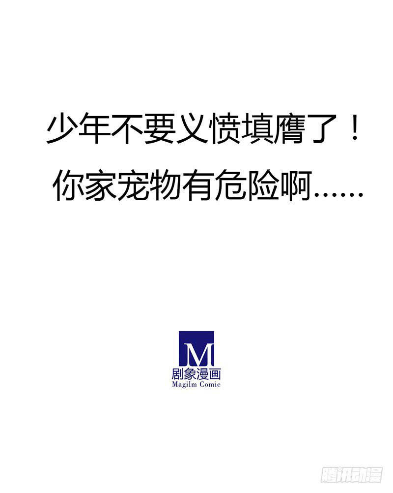 我的鸟没了啊！-第46话