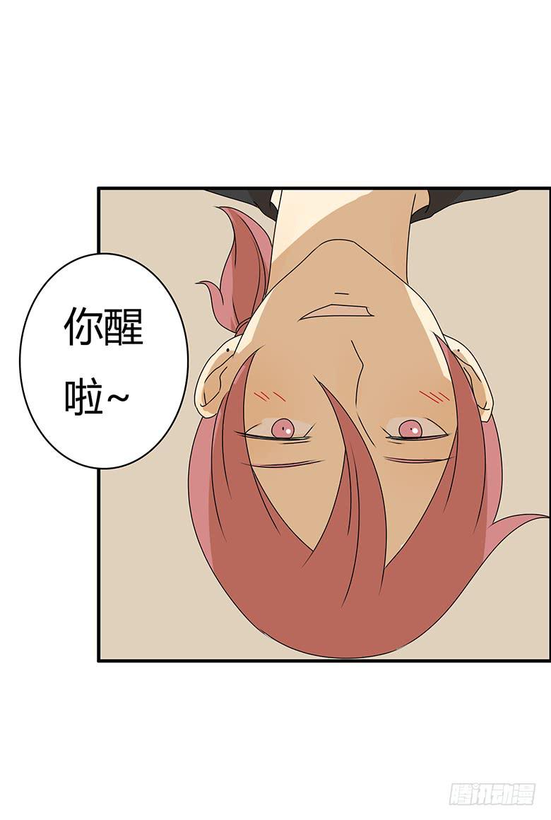 第三季 84.林鸫的一天-第284话
