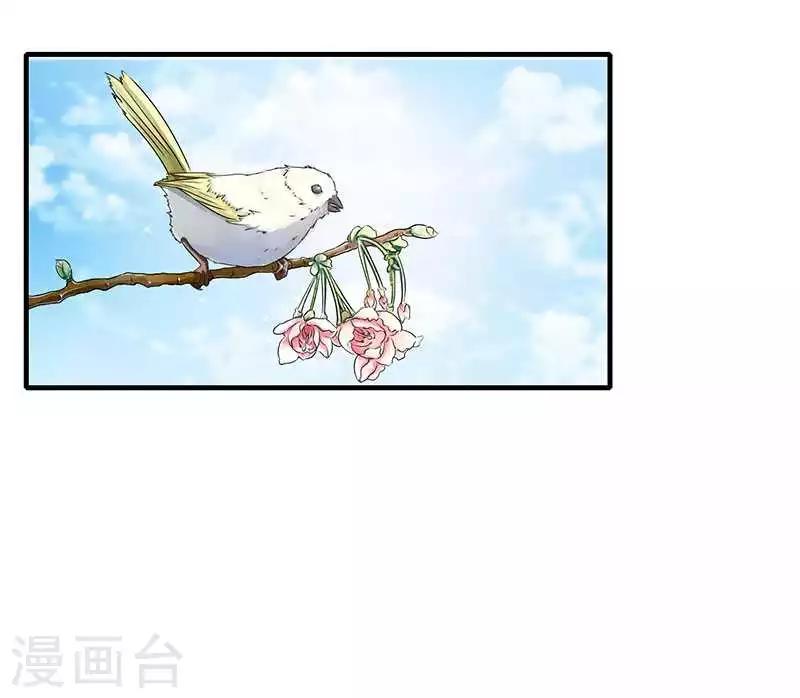 第14话 秘密送走？！-第14话