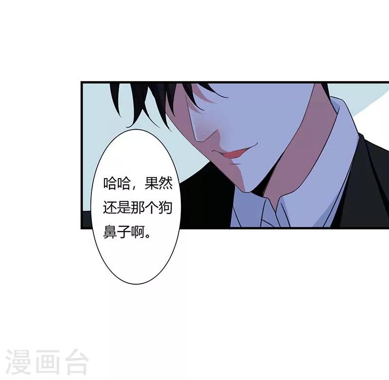 第46话 生日快乐-第46话