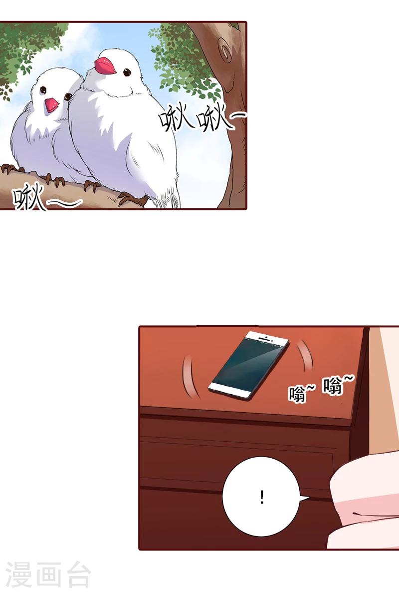 第56话 明天就去离婚-第56话