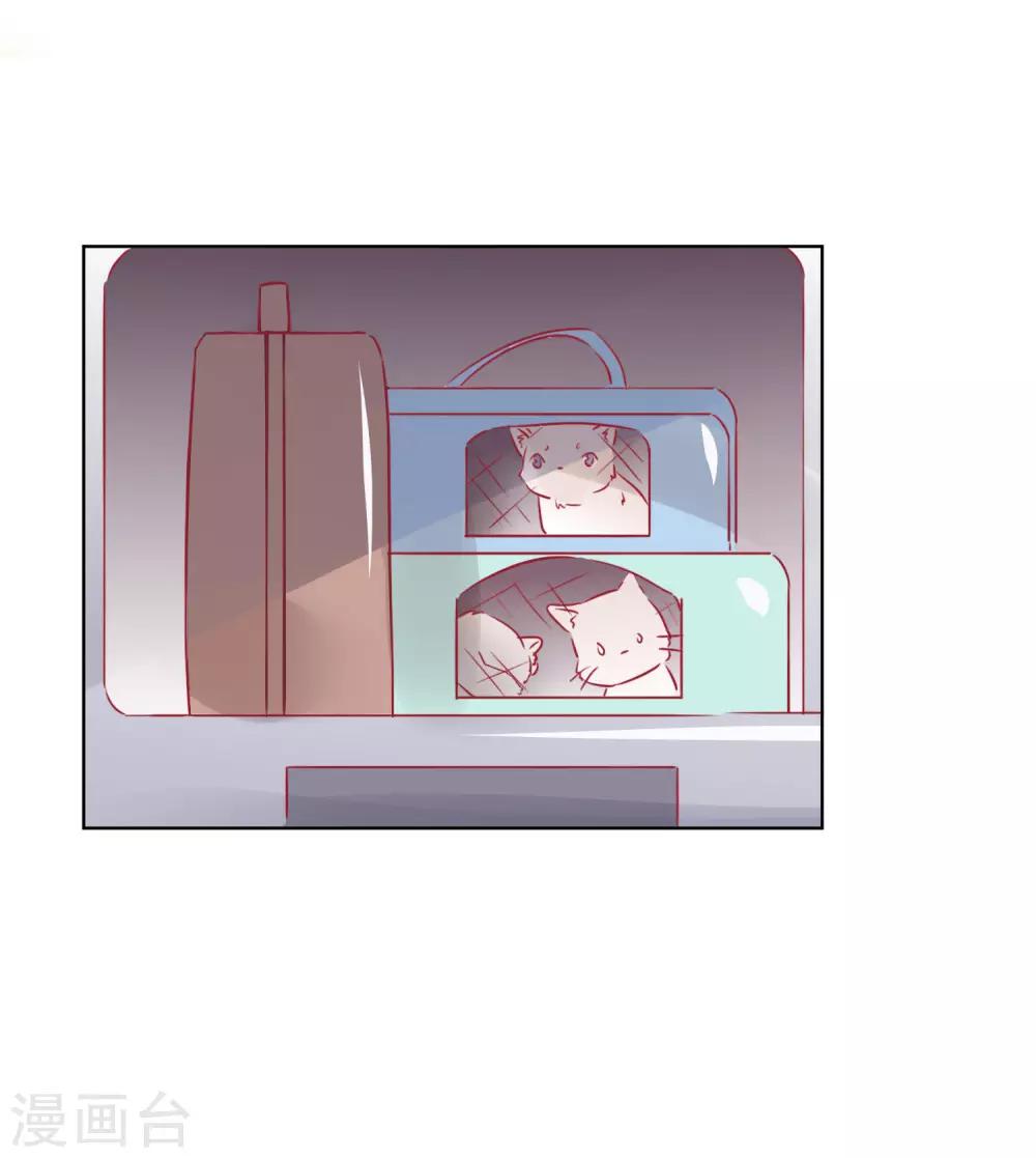 第32话 我可以住在你家吗？-第42话