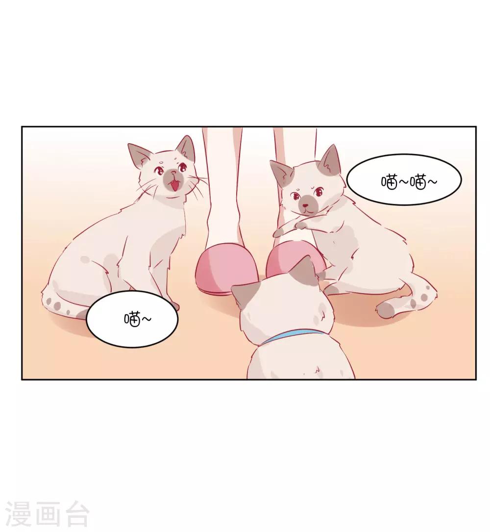 第32话 我可以住在你家吗？-第42话