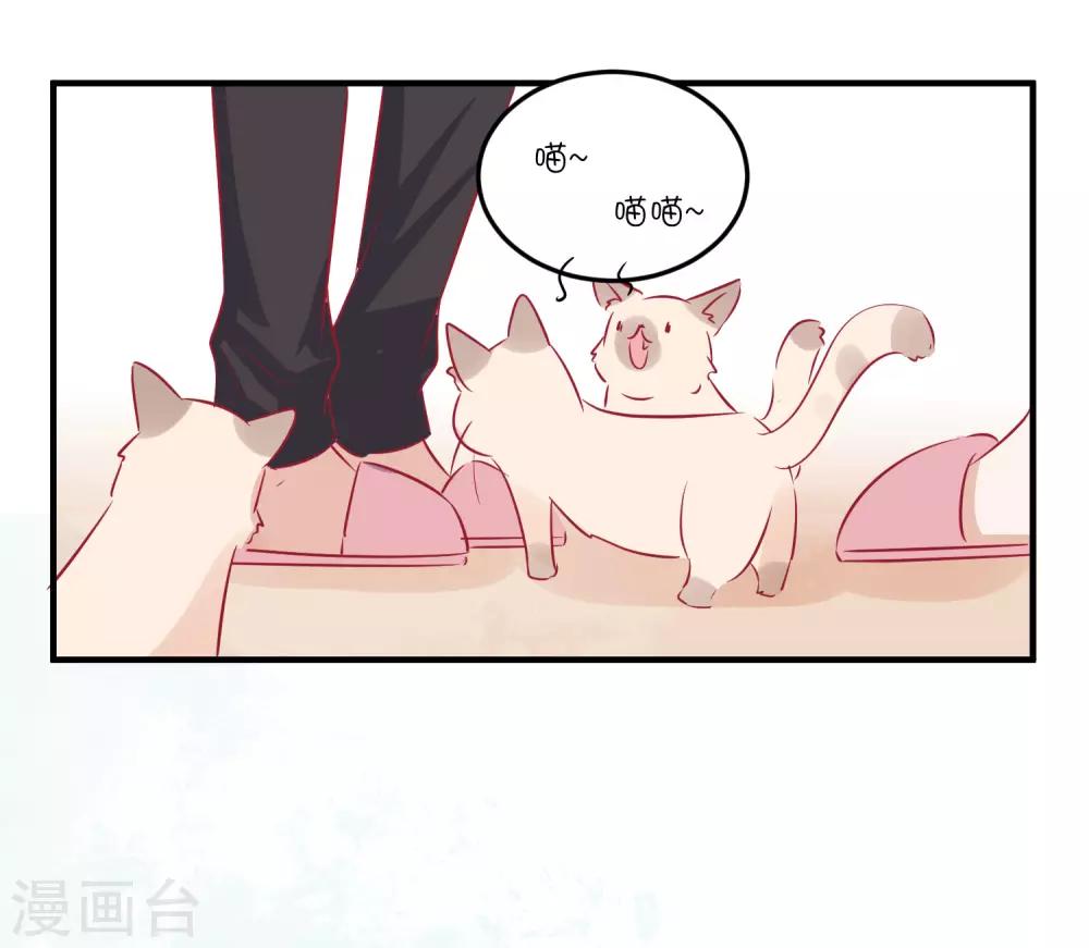 第34话 抵制地下恋情！-第44话