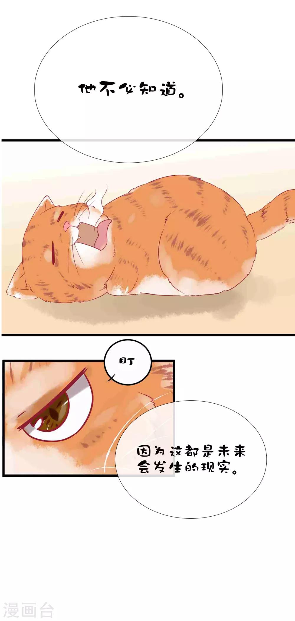 第34话 抵制地下恋情！-第44话