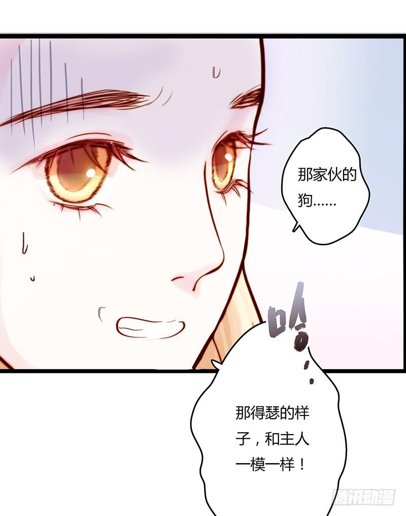 10话 被软禁的花-第10话