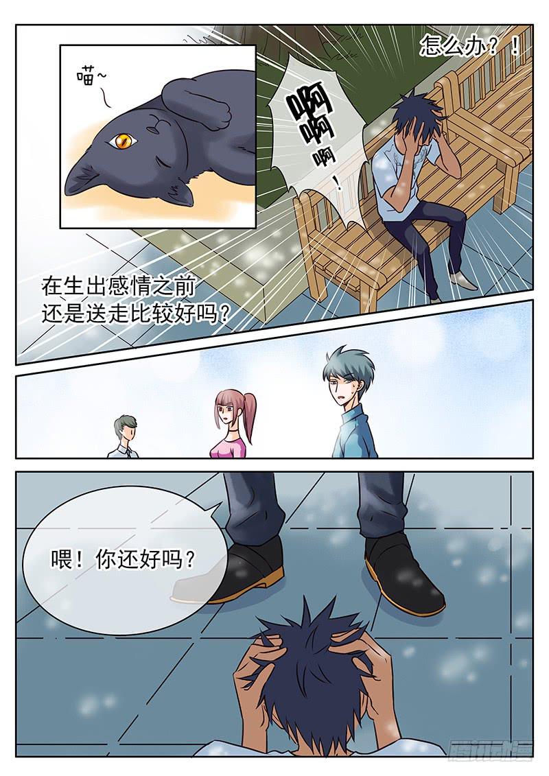 032 失去还是错过？-第36话