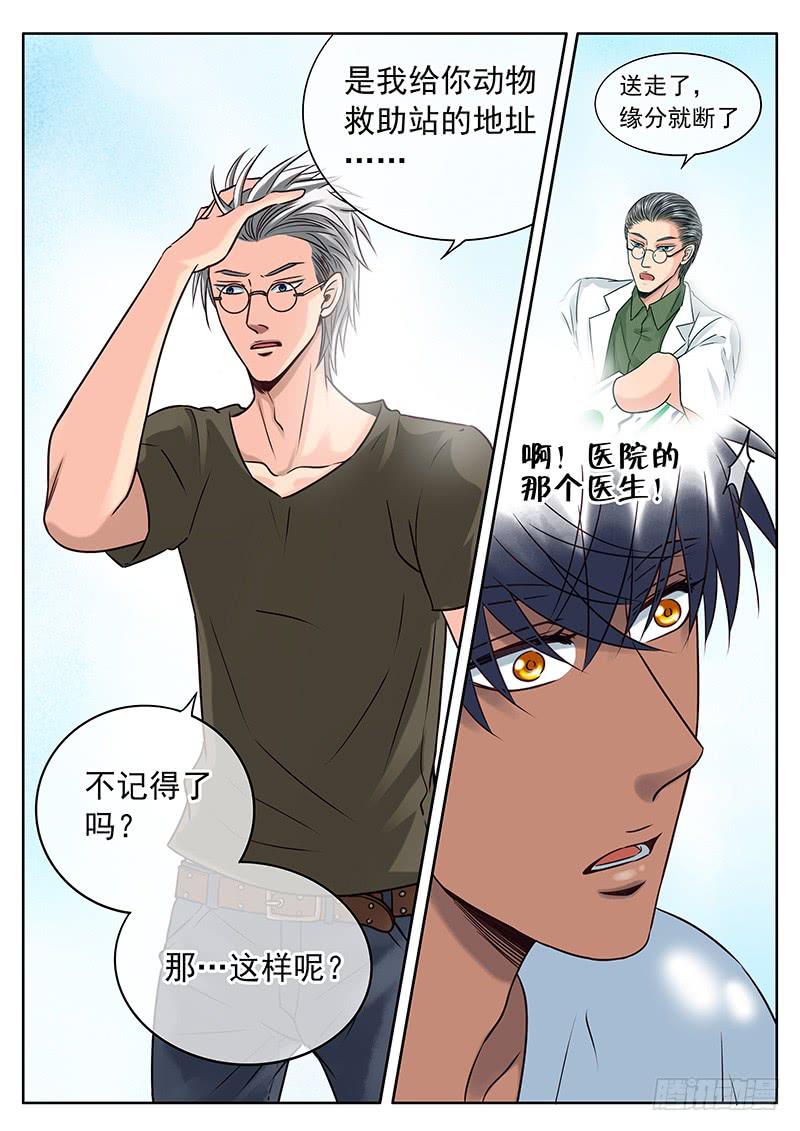 032 失去还是错过？-第36话