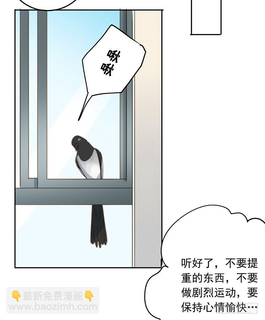 祸福相依(1/2)-第84话