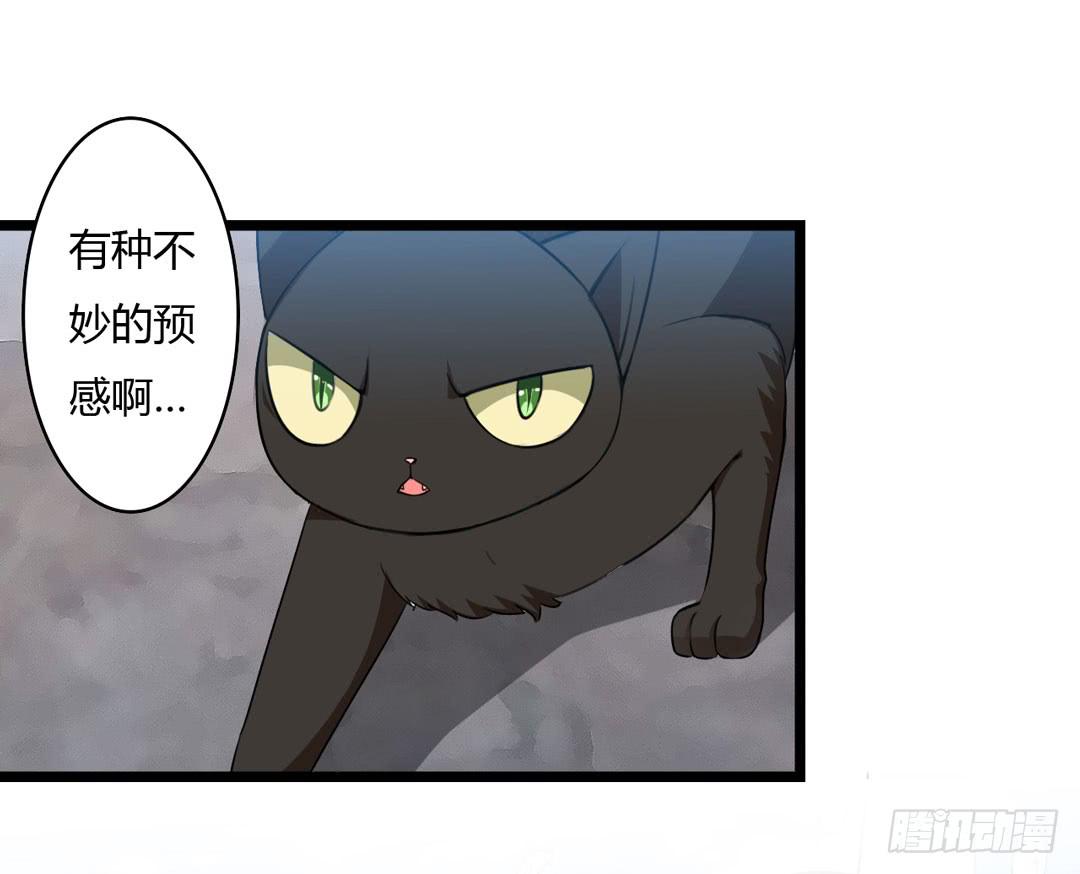 又见面了臭魔女(1/2)-第12话