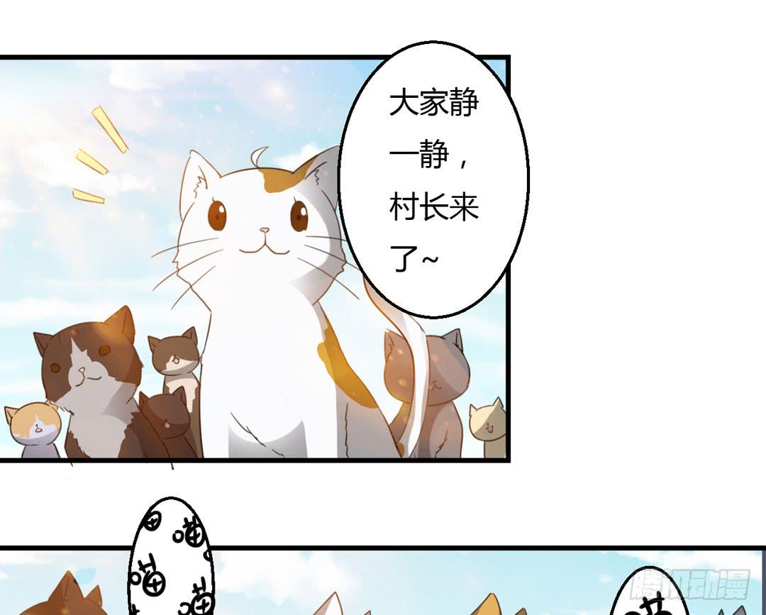 猫灵村-第24话