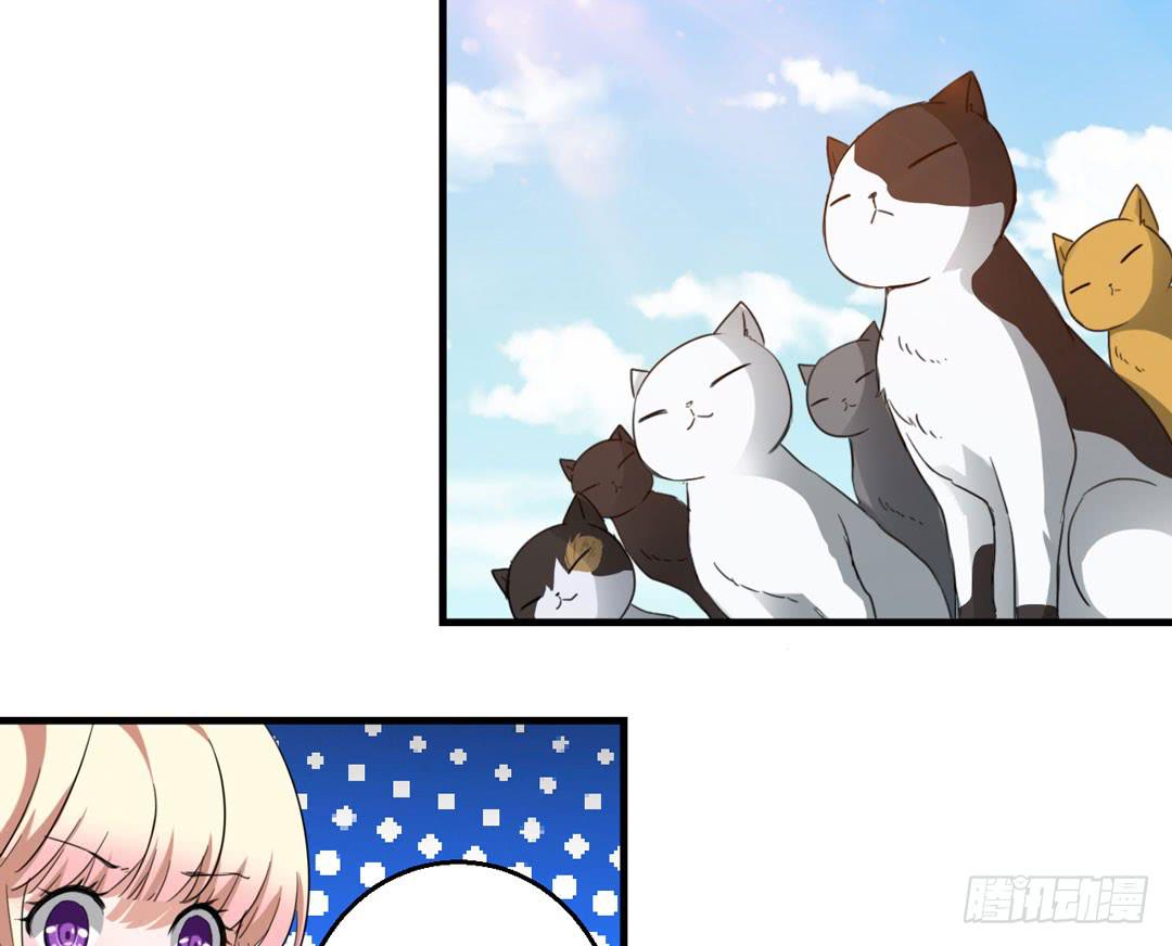 猫灵村-第24话