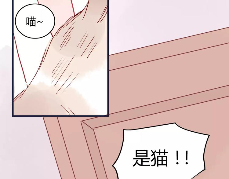 🍡10001次恋爱 第10话 撸猫光环？ 第12页