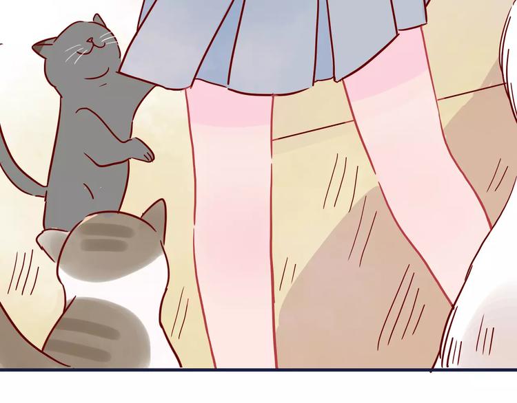 🍡10001次恋爱 第10话 撸猫光环？ 第15页