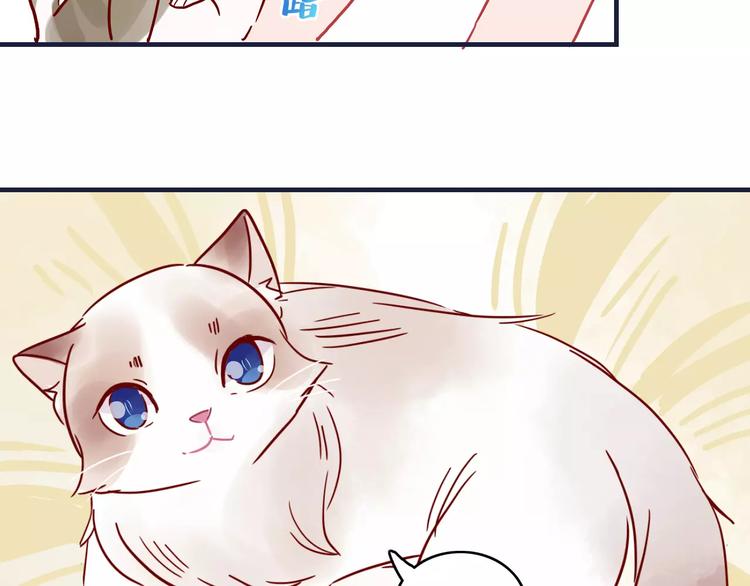 🍡10001次恋爱 第10话 撸猫光环？ 第17页