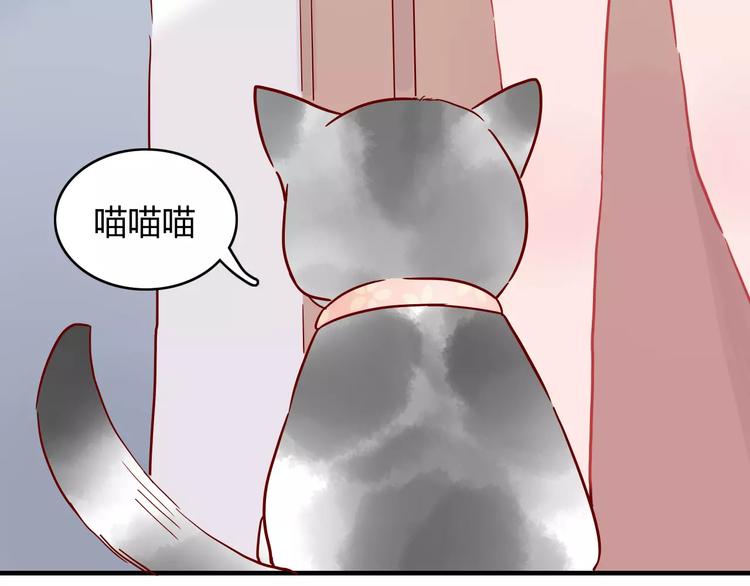 🍡10001次恋爱 第10话 撸猫光环？ 第48页