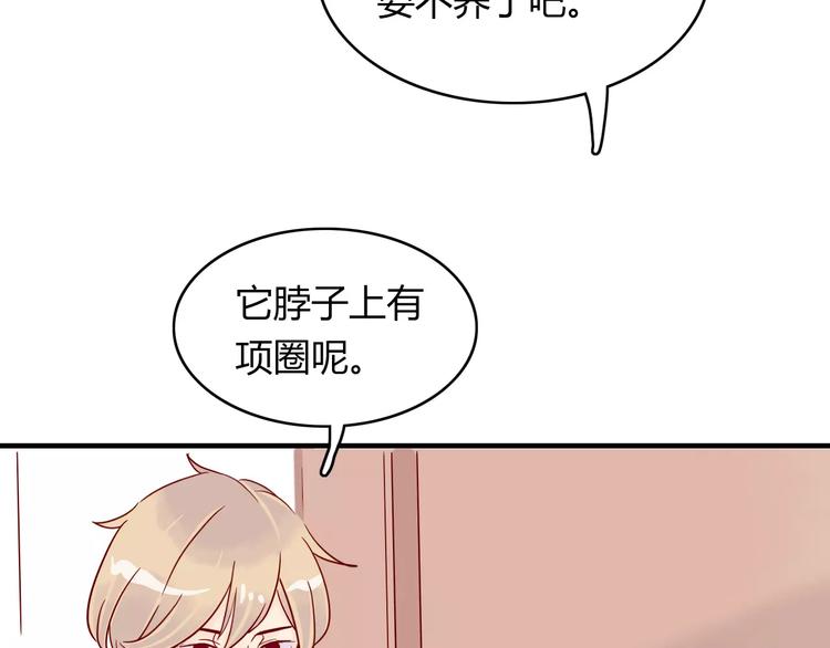 🍡10001次恋爱 第10话 撸猫光环？ 第50页